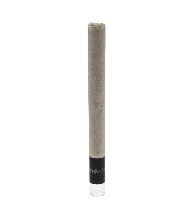 Fatty's Organic Unbleached Glass-Tipped Cones - 3Ct Packs